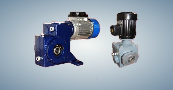 Double worm reduction hollow shaft geared motors